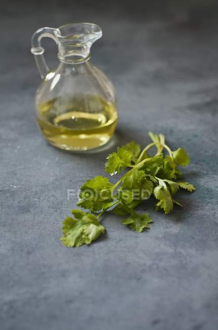 Cilantro fresco y aceite de oliva - foto de stock