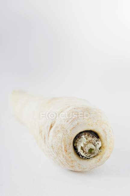 A parsnip laying on white surface — Stock Photo
