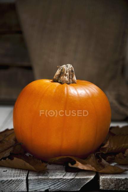 Fresh pumpkin with autumnal leaves — Stock Photo