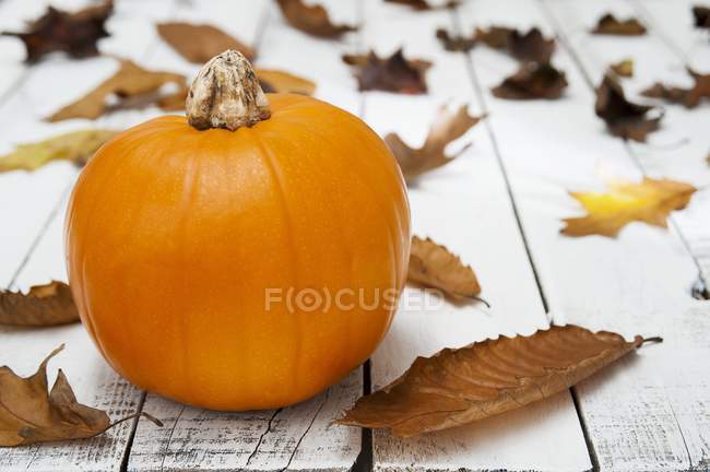 Pumpkin and autumnal leaves — Stock Photo