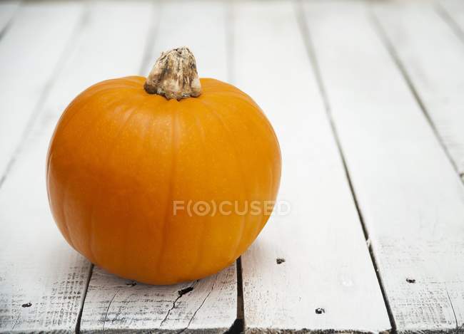 Fresh orange pumpkin — Stock Photo