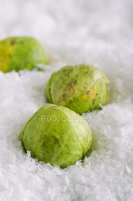 Brussels sprouts in snow — Stock Photo