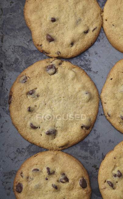 Chocolate Chip Cookies — Stock Photo