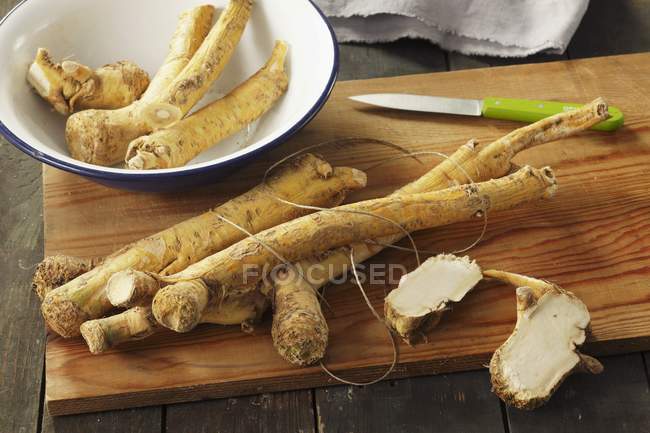 Fresh horseradish roots — Stock Photo