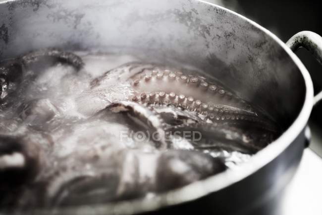 Krake in kochendem Wasser — Stockfoto