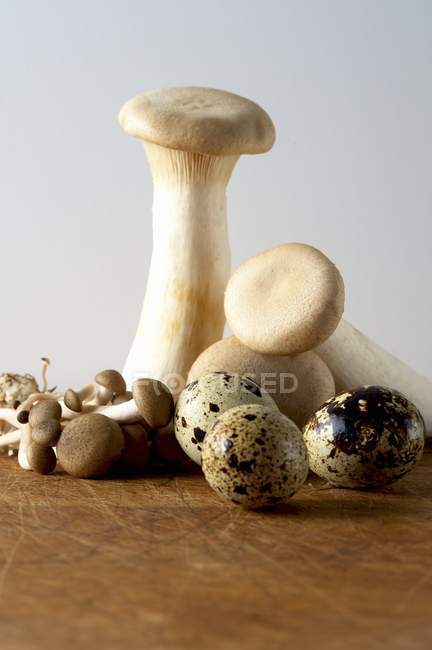 Funghi freschi e uova di quaglia — Foto stock
