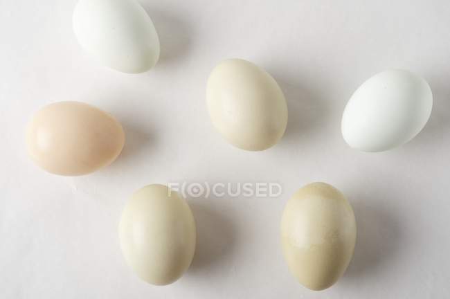Closeup view of pastel colored eggs on a white surface — Stock Photo