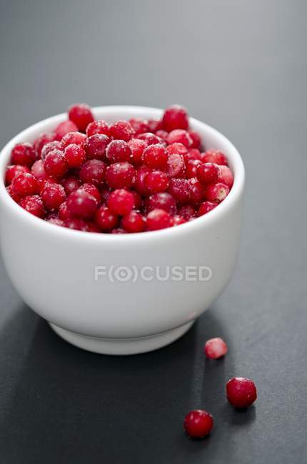 Cranberries congeladas em tigela branca — Fotografia de Stock