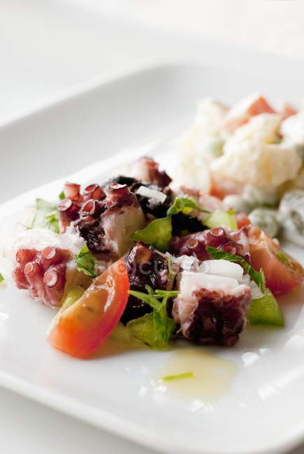 Салат з восьминогами з помідорами на білій тарілці на білій поверхні — стокове фото