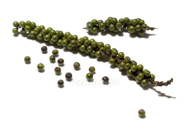 Closeup view of fresh green peppercorns on white surface — Stock Photo