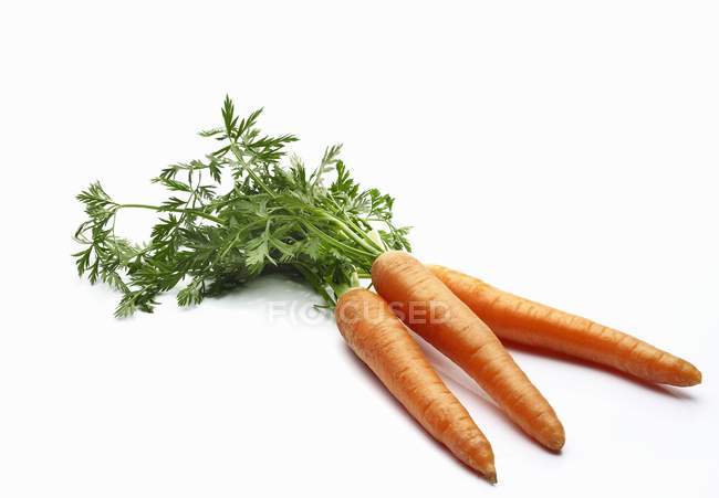 Свіжа морква зі стеблами — стокове фото