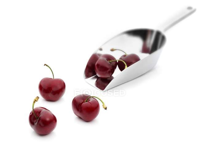 Cherries with metal scoop — Stock Photo
