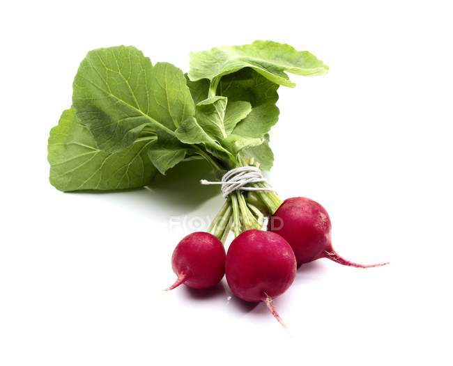 Fresh Red Radishes with leaves — Stock Photo