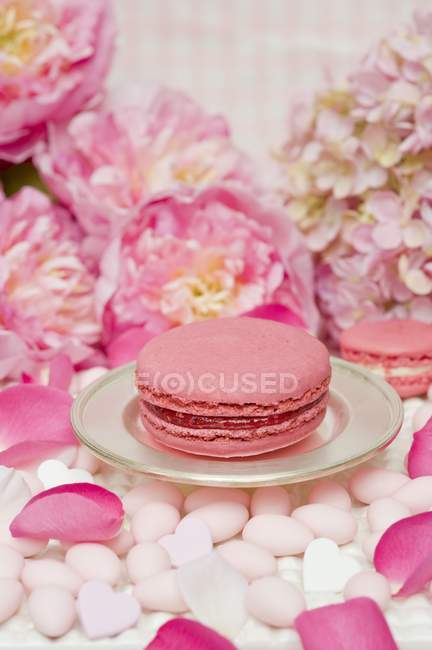 Pink macaroon on a silver plate — Stock Photo