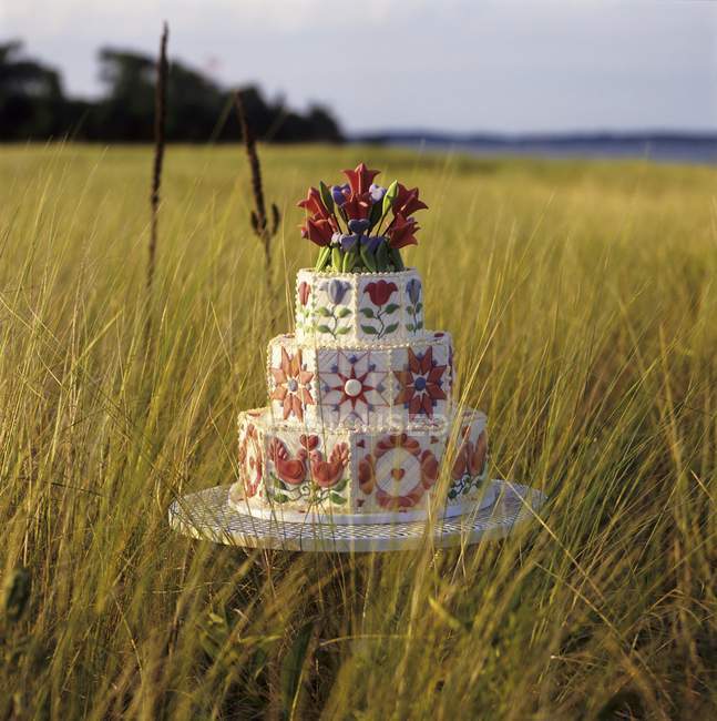 Gâteau de mariage à plusieurs niveaux dans un champ — Photo de stock