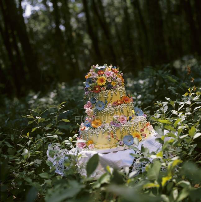 Gâteau de mariage forêt — Photo de stock