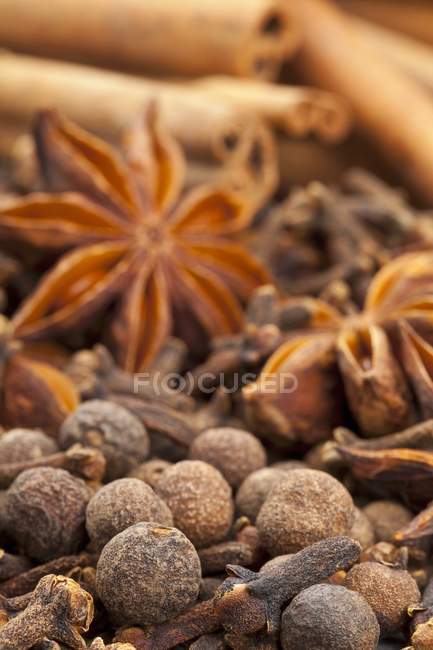 Close up of Winter spices — Stock Photo