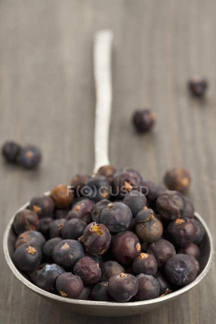 Spoon full of juniper berries — Stock Photo