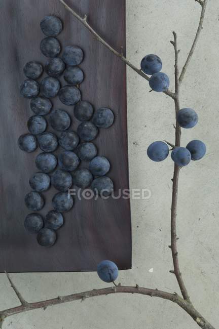 Sloes in wooden dish — Stock Photo