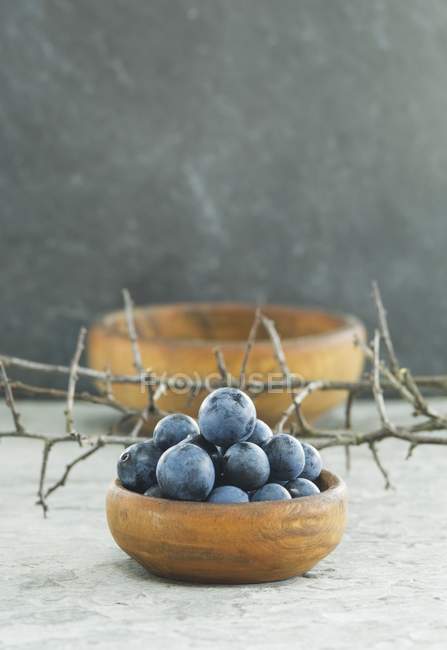 Closeup view of sloes in a wooden bowl — Stock Photo