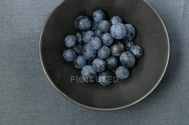 Sloes in black bowl — Stock Photo