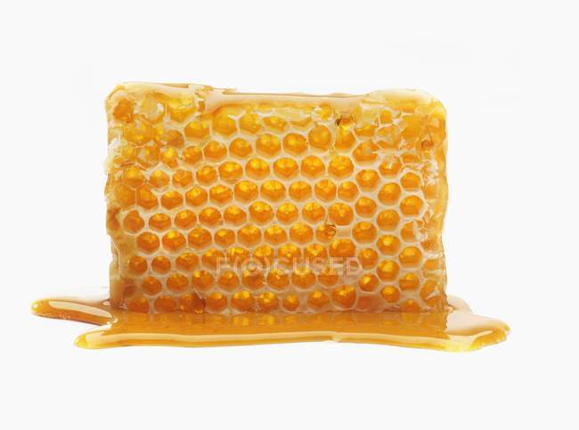 Favo de mel em uma piscina de mel — Fotografia de Stock