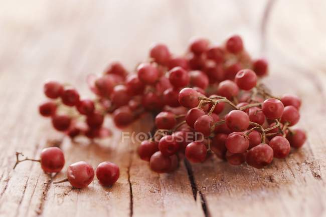 Red peppercorns on vine — Stock Photo