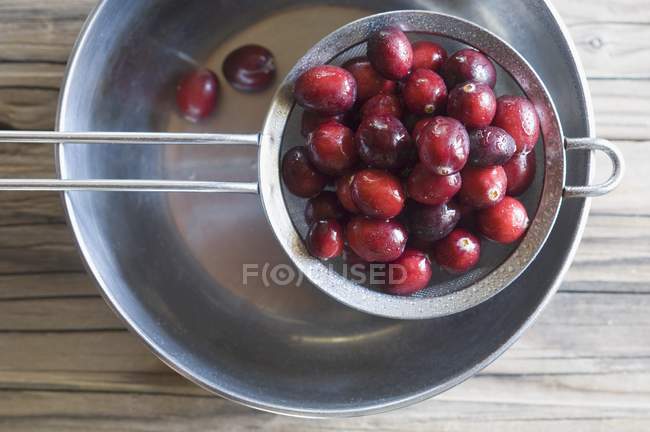 Freshly washed cranberries — Stock Photo