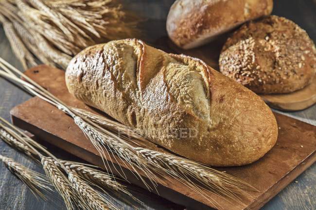 Verschiedene Brotlaibe mit Weizenstielen — Stockfoto
