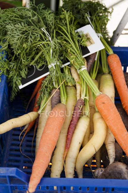Органічна морква зі стеблами — стокове фото