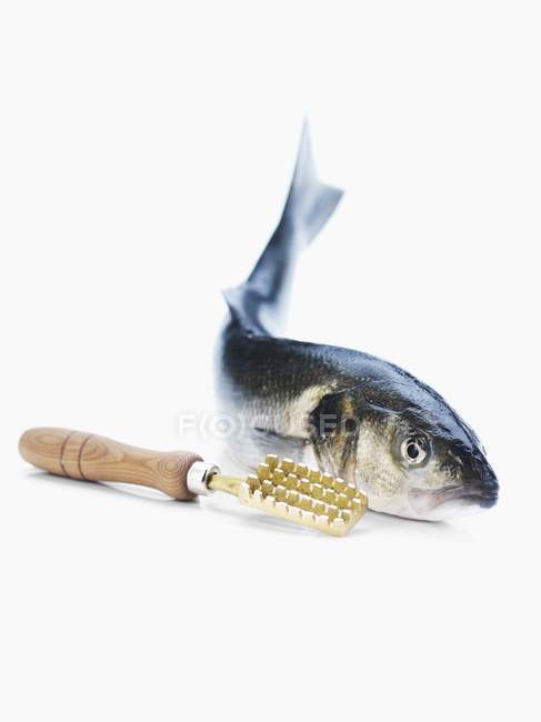 Sea bass with fish scaler — Stock Photo
