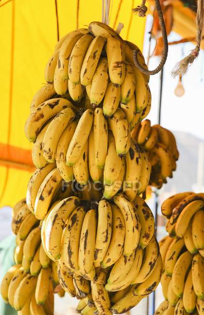Plátanos colgando en el mercado - foto de stock