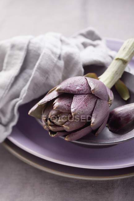 Frische Artischocke auf violettem Teller — Stockfoto