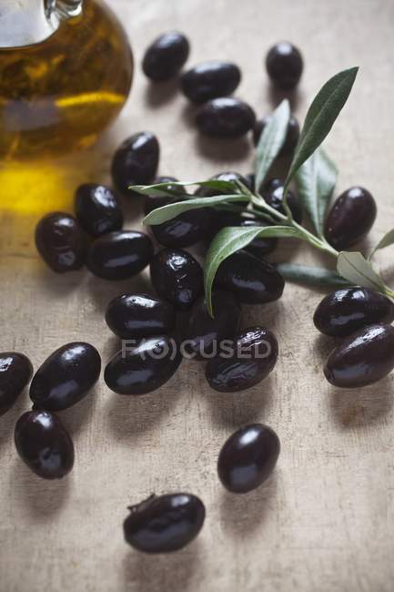 Schwarze Oliven mit Zweigen — Stockfoto
