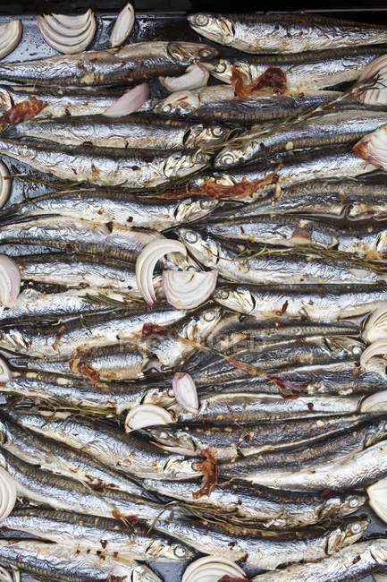 Marinated sardines on baking tray — Stock Photo