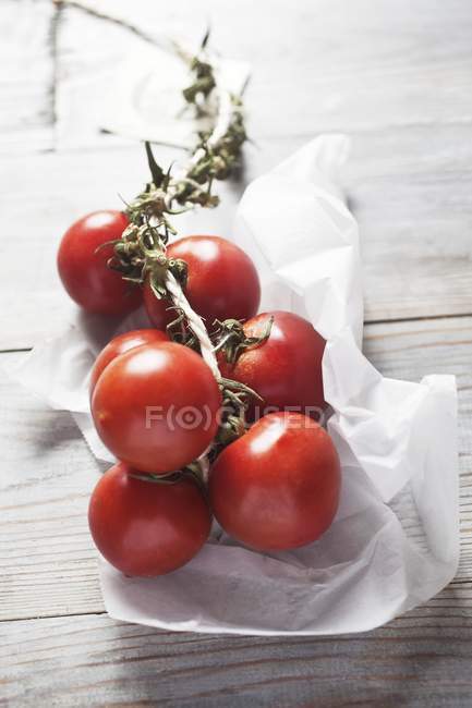 Tomates em videira em papel — Fotografia de Stock