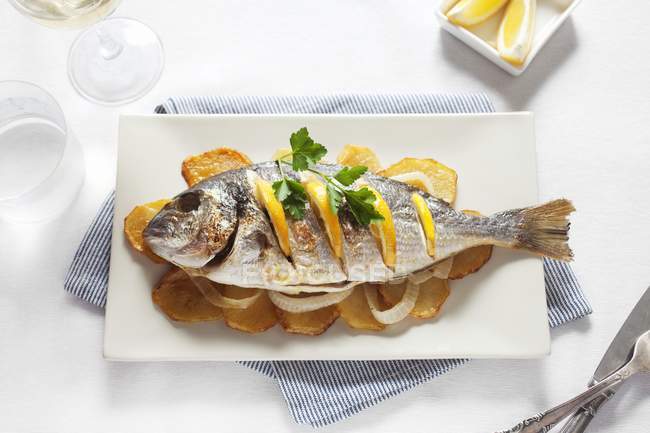 Grilled gilt-head bream with oranges — Stock Photo