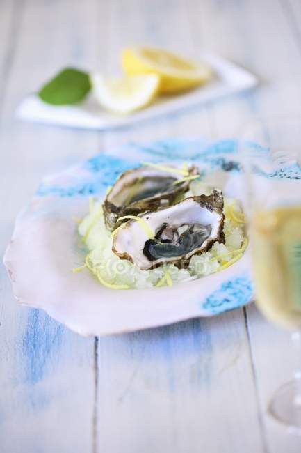 Oysters on bed of lemon granita — Stock Photo