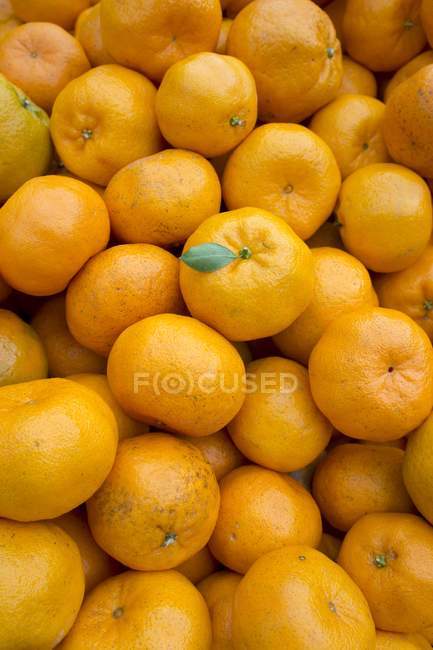 Mandarinas frescas maduras - foto de stock