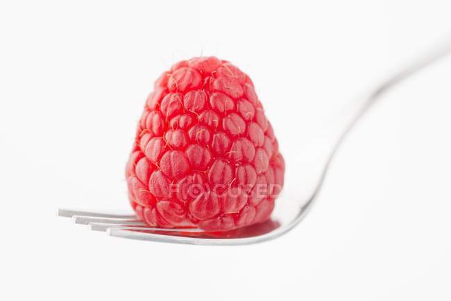 Fresh raspberry on fork — Stock Photo