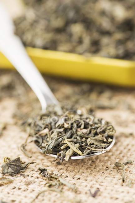 Зеленый чай на ложке — стоковое фото