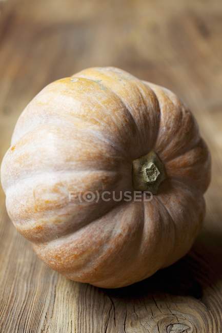 Musquee de Provence squash — Stock Photo