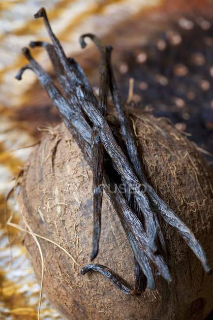Gousses de vanille sur le dessus de la noix de coco — Photo de stock