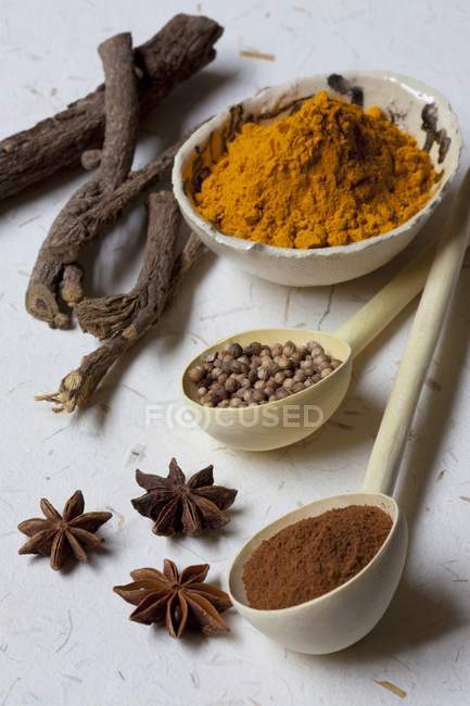 Closeup view of a variety of fresh, whole and ground spices — Stock Photo