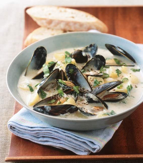 Mussel chowder with herbs — Stock Photo