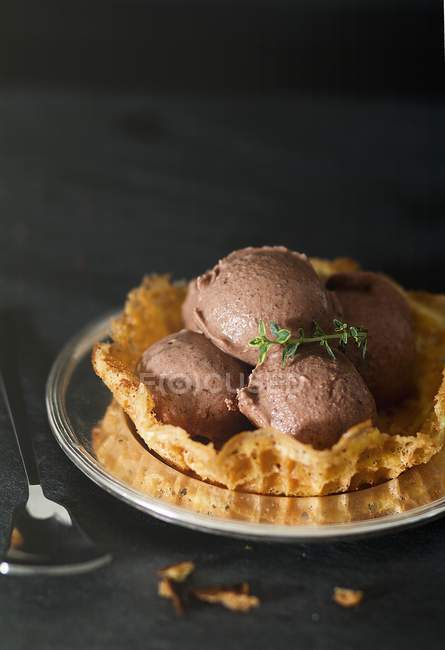Sorvete de chocolate em um waffle — Fotografia de Stock