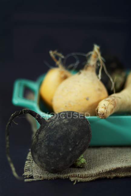 Fresh black turnip — Stock Photo
