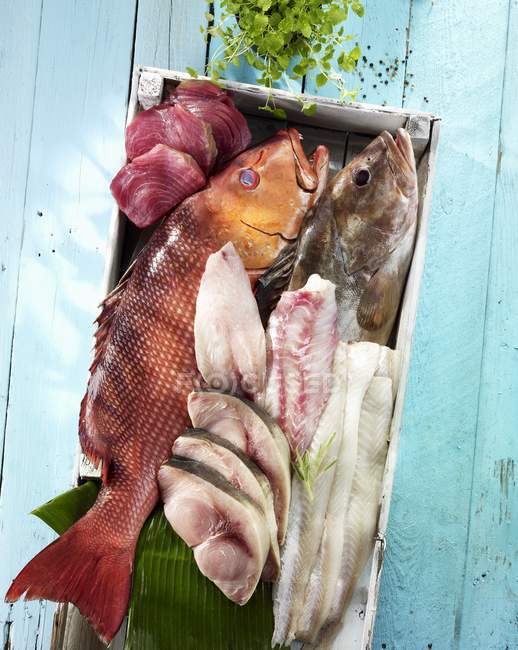 Peixes variados em caixa de madeira — Fotografia de Stock