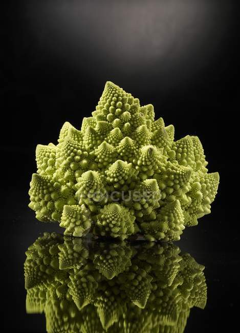 Head of fresh romanesco broccoli — Stock Photo