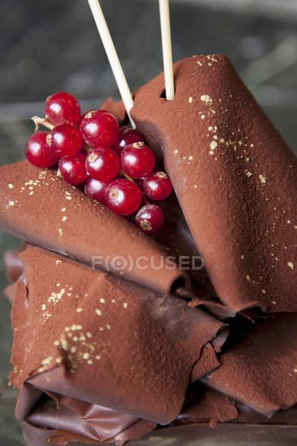 Pastel de chocolate con chocolate - foto de stock